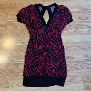 Zebra Print V-Neck Dress